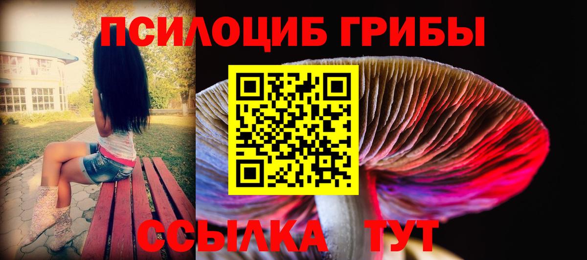 Псилоцибиновые грибы ЛСД  Псилоцибиновые грибы MAGIC MUSHROOMS  Вход с VPN  купить  цена  Киров 